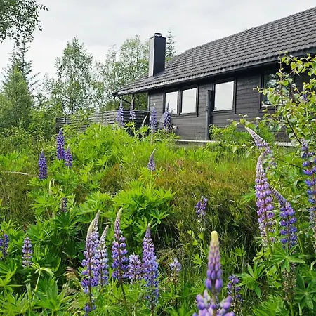 Fidjeland 61 Feriehus Tjorhom